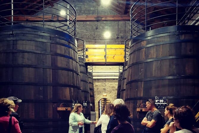 Half-Day Winery Tour in Madrid Region