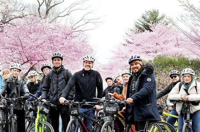 Washington DC Cherry Blossom Bike Tour