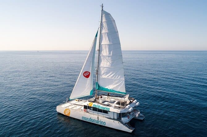 Malaga Catamaran Cruise