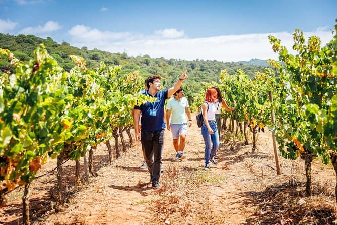 Arrabida and Sesimbra Day Trip from Lisbon with Wine Tasting