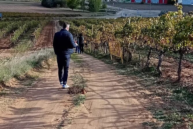 Ribera del Duero Wineries Day Trip from Madrid