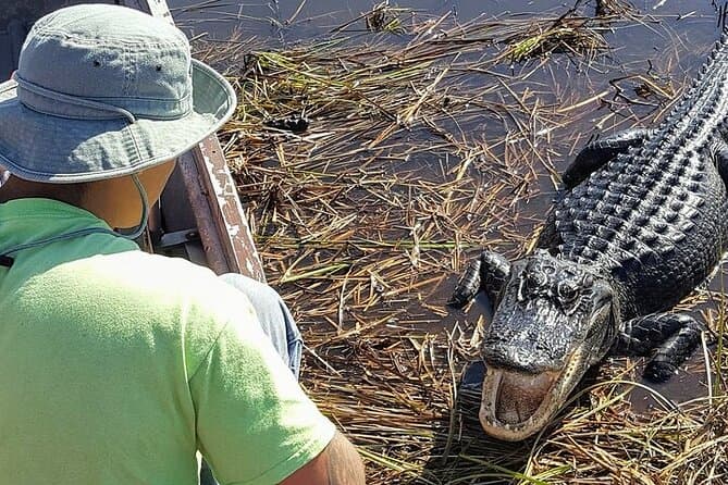 Everglades Airboat Small Group Ride from Miami