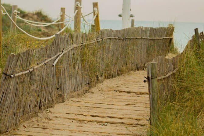 Albufera Day Trip from Valencia