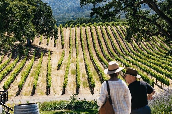 Napa and Sonoma Valleys Wine Tour from San Francisco