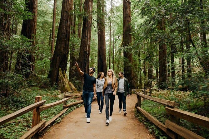 San Francisco Bus Tour and Muir Woods Day Trip
