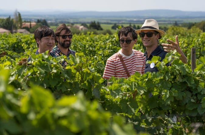 Châteauneuf du Pape Morning Wine Tour from Avignon