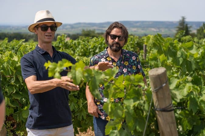 Chateauneuf du Pape Wine Tour from Avignon