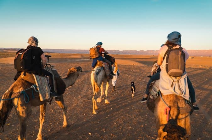 Zagora Desert 2-Day Trip from Marrakech with Camel Trek & Atlas Mountains