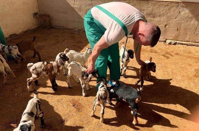 Fuerteventura Cheese Making Workshop with Breakfast