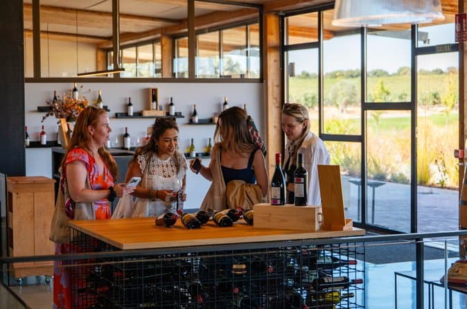 Ribera del Duero Day Trip from Madrid