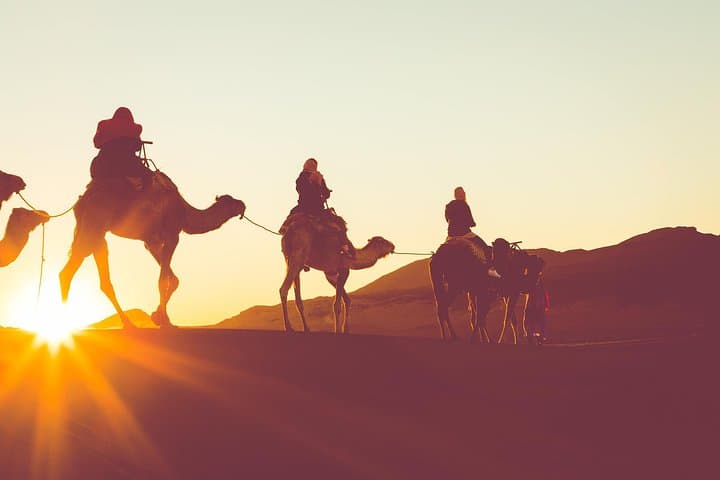 Douz Desert Camel Ride