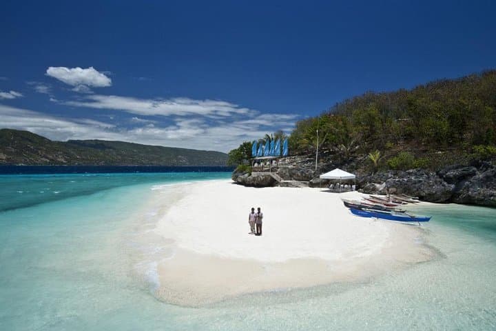 Sumilon Island and Kawasan Falls Private Day Trip from Cebu City with Whale Shark Watching