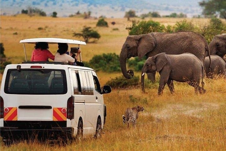Amboseli National Park 3-Day Trip from Nairobi