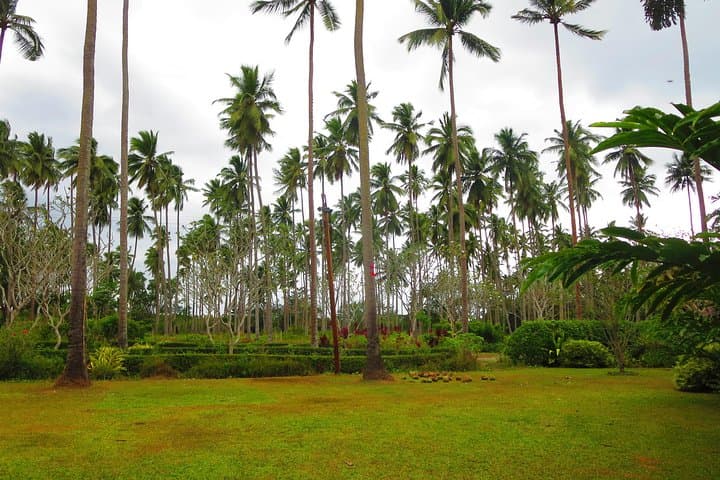 Villa Escudero Plantation Day Trip from Manila