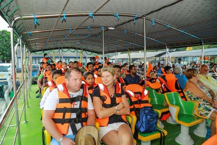 Galle Whale and Dolphin Watching Cruise