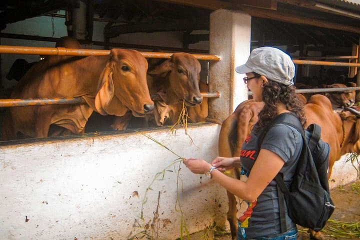Mumbai Bike Tour