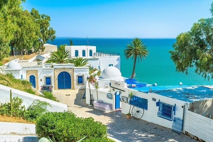 Tunis Private Tour: Medina, Carthage, Sidi Bou Said & Bardo Museum + Lunch