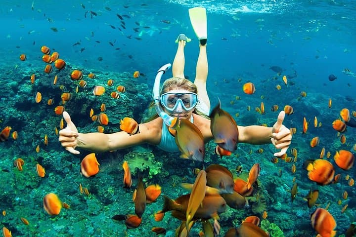 Dolphin Watching and Snorkeling Day Trip to Wasini Island from Mombasa