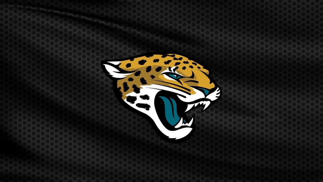 NFL Preseason: Jacksonville Jaguars vs. Carolina Panthers at EverBank Stadium