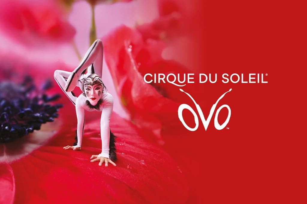 Cirque du Soleil OVO at salzburgarena