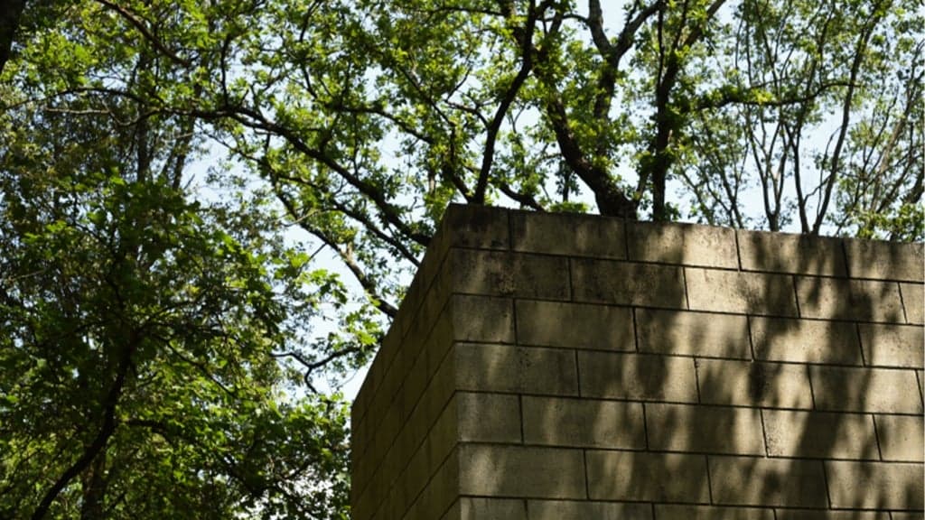 Visita Collezione Arte Ambientale e Giardini Storici at Collezione Gori - Fattoria di Celle