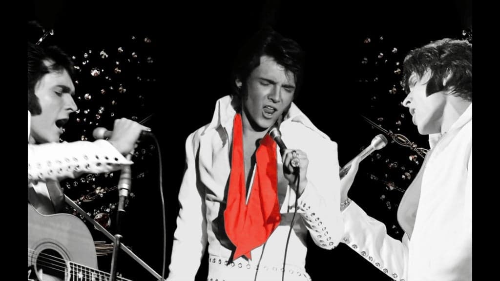 ELVIS: In Person - Starring Matt Stone at Martin Marietta Center for the Performing Arts