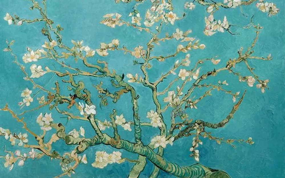 Amsterdam Offer: Canal Cruise and Van Gogh Museum Tickets