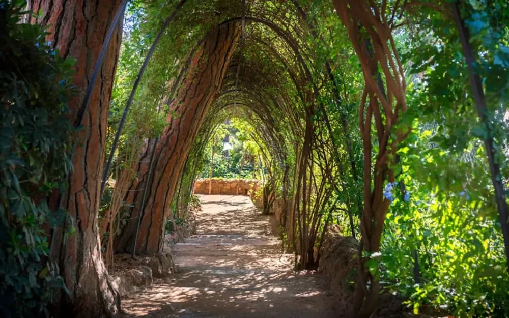 Barcelona Park Güell and Gaudí House Museum Tickets with audio guide