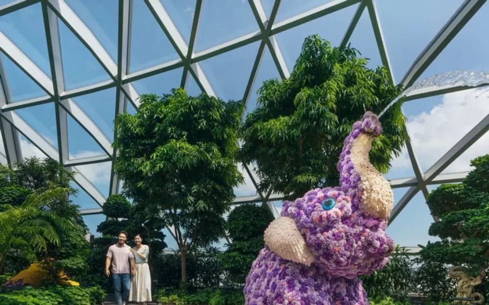 Singapore Airport Canopy Park Tickets