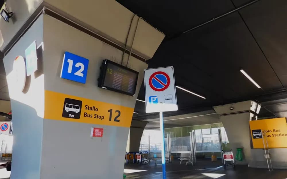Rome One-Way Bus from Vatican City to Fiumicino Airport