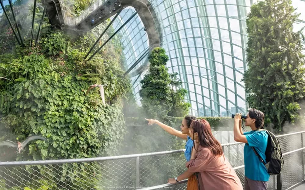 Singapore Gardens by the Bay Flower Dome & Cloud Forest Tickets