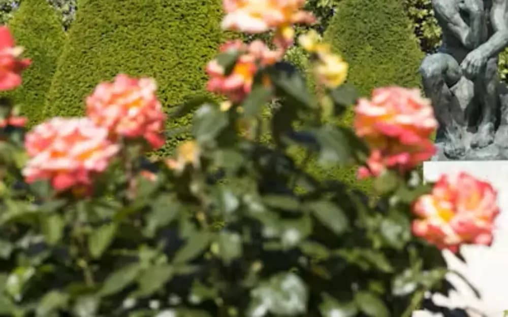 Paris Rodin Museum Tickets