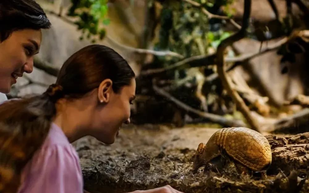 Singapore Night Safari Tickets with Tram Ride