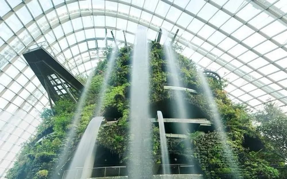 Singapore Gardens by the Bay Tickets