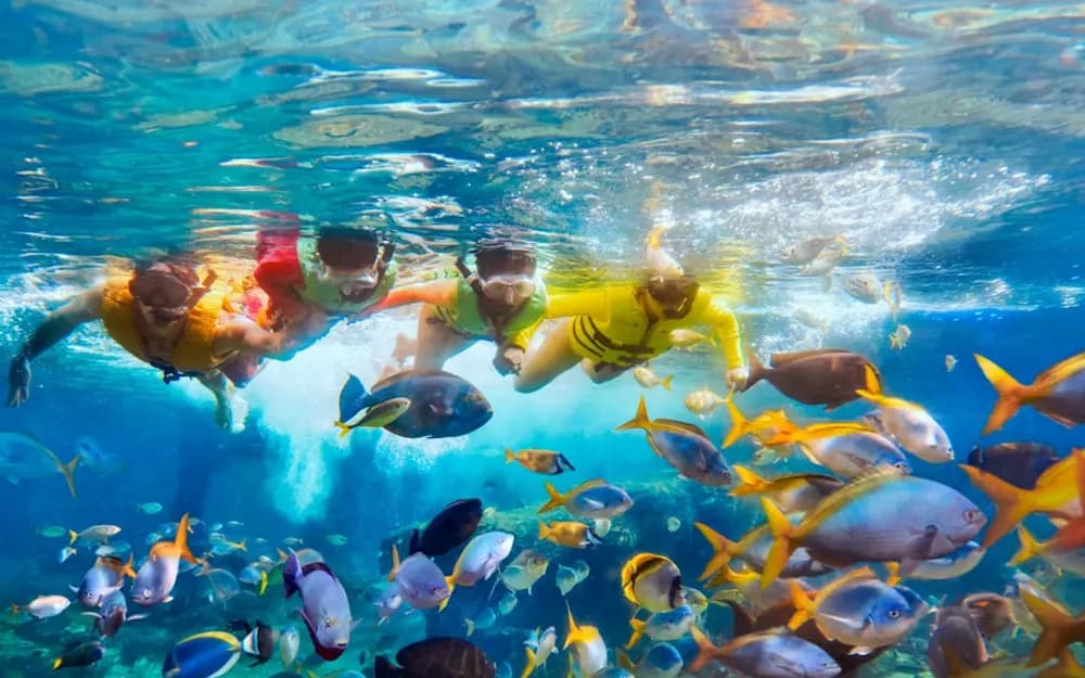 Singapore Adventure Cove Waterpark Tickets