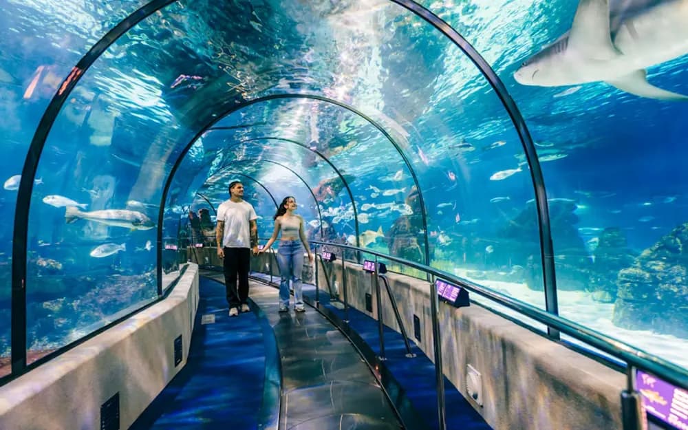 Barcelona Aquarium Flexible Tickets (No Date or Time Required)