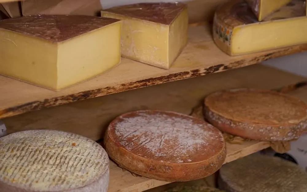 Wine and Cheese Tasting in Paris