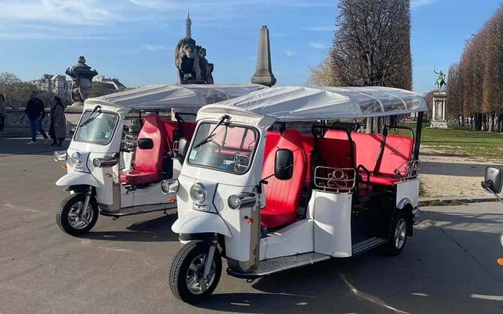 Paris Tuk Tuk Private Tour