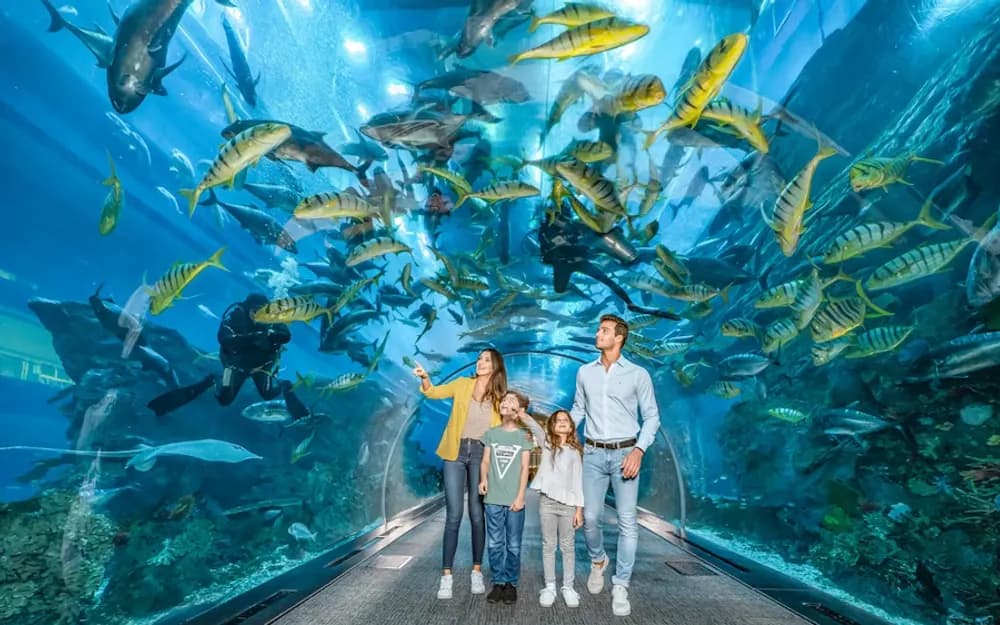Dubai Aquarium and Underwater Zoo Gold Pass