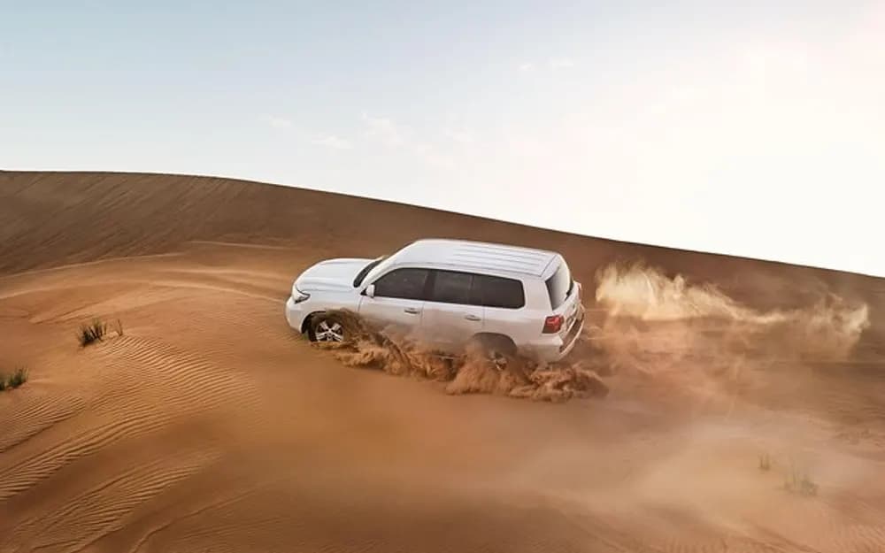 Desert Red Dune Safari, Camel Ride, Show and Dinner in Dubai