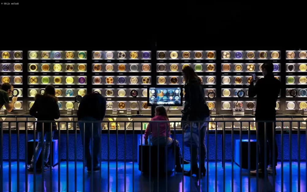 Amsterdam ARTIS-Micropia Microbe Museum Tickets