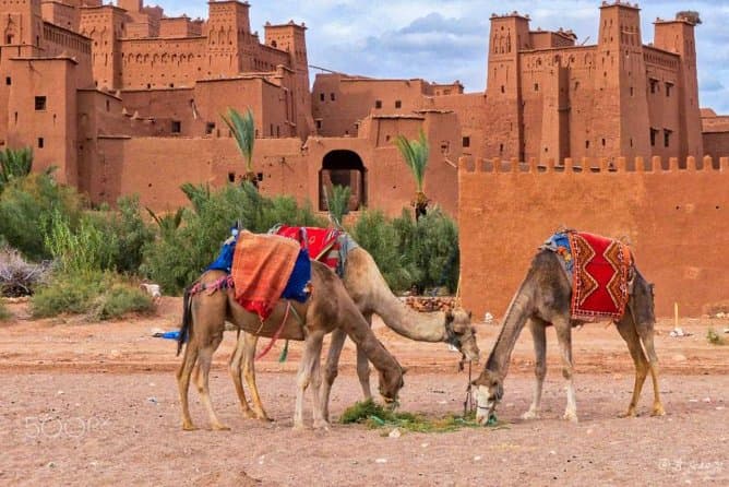 Ouarzazate and Aït Benhaddou Day Trip from Marrakech