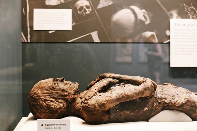 Washington DC Museum of Natural History Guided Tour
