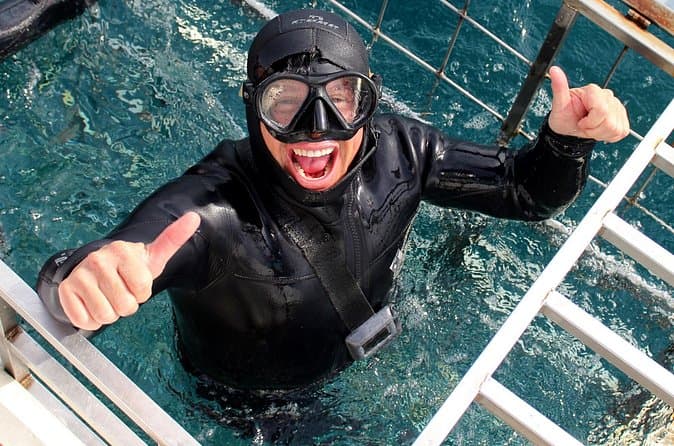 Great White Shark Cage Diving Tour from Cape Town