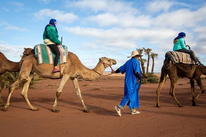 Marrakech Quad Tour and Camel Ride