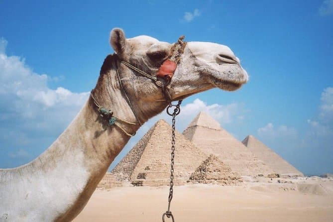 Giza Pyramids, Saqqara and Memphis Private Day Trip from Cairo