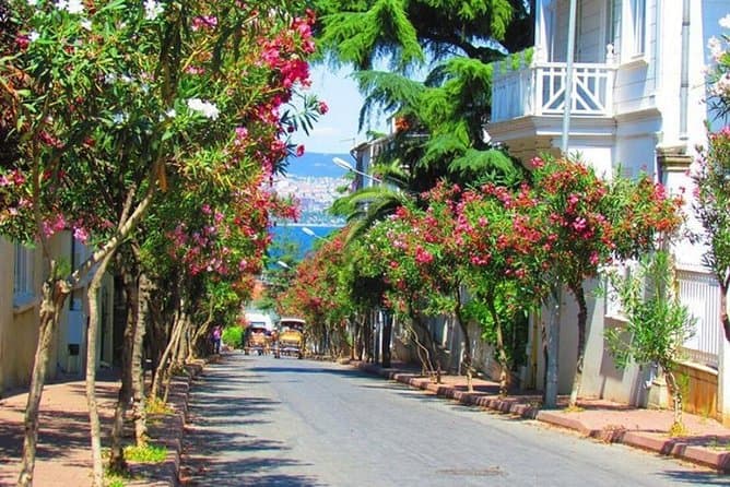 Buyukada Island Day Trip from Istanbul