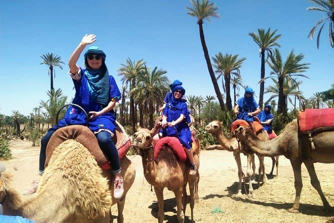 Marrakech Palm Grove Camel Ride