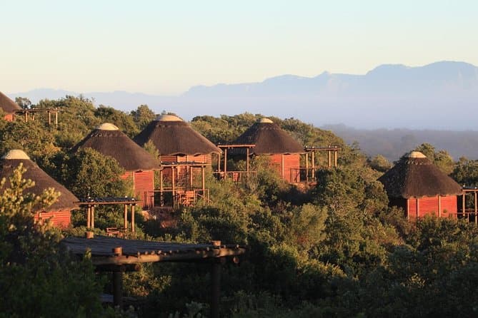 2-Day Safari Experience from Cape Town