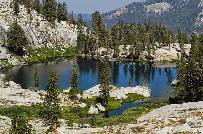Yosemite and Kings Canyon 2 Day-Trip from Los Angeles